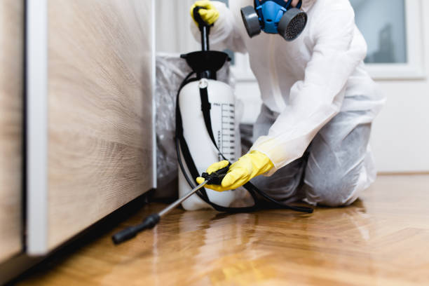 Best Best Pest Control Companies  in Talpa, NM