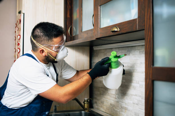 Best Pest Removal Services  in Talpa, NM