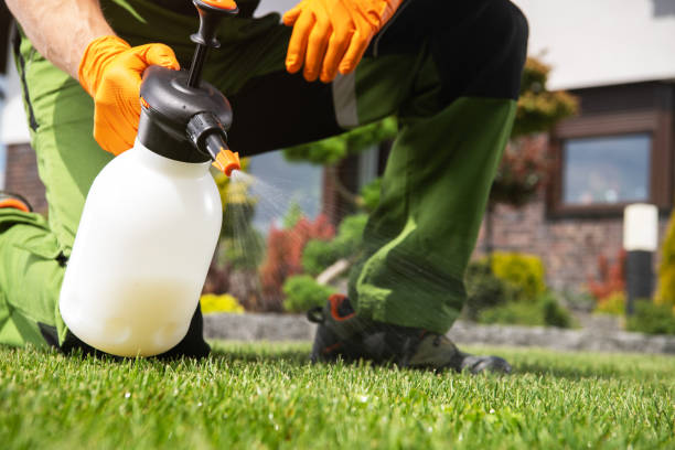 Best Residential Pest Control  in Talpa, NM
