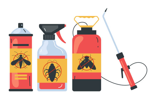 Reliable Talpa, NM Pest Control Solutions