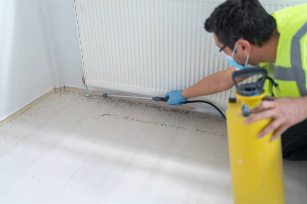 Best Wasp Removal Services  in Talpa, NM
